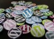 wordpress agency