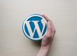 What is a WordPress PlugIn?