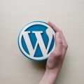 What is a WordPress PlugIn?