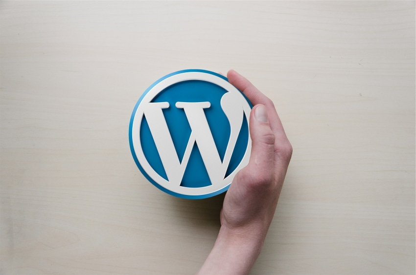 What is a WordPress PlugIn?