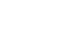 logo salesforce weiss