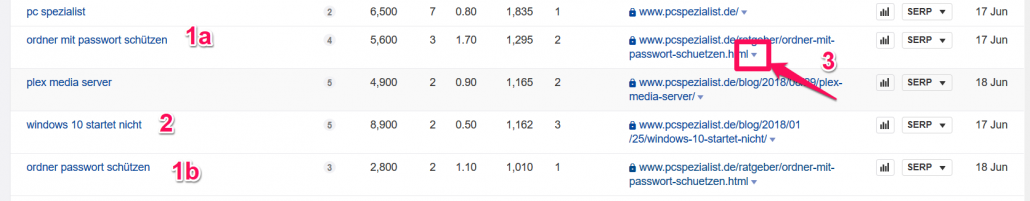 Ranking-Ergebnisse für pcspezialist.de