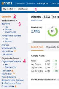 Domain Analyse im Site-Explorer