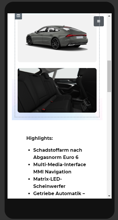 WooCommerce Tutorial: Produktseiten mit Elementor erstellen 36 Elementor 34