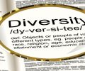 Diversity Management – was versteht man darunter?